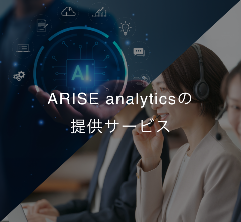 アライズアナリティクスの提供サービス